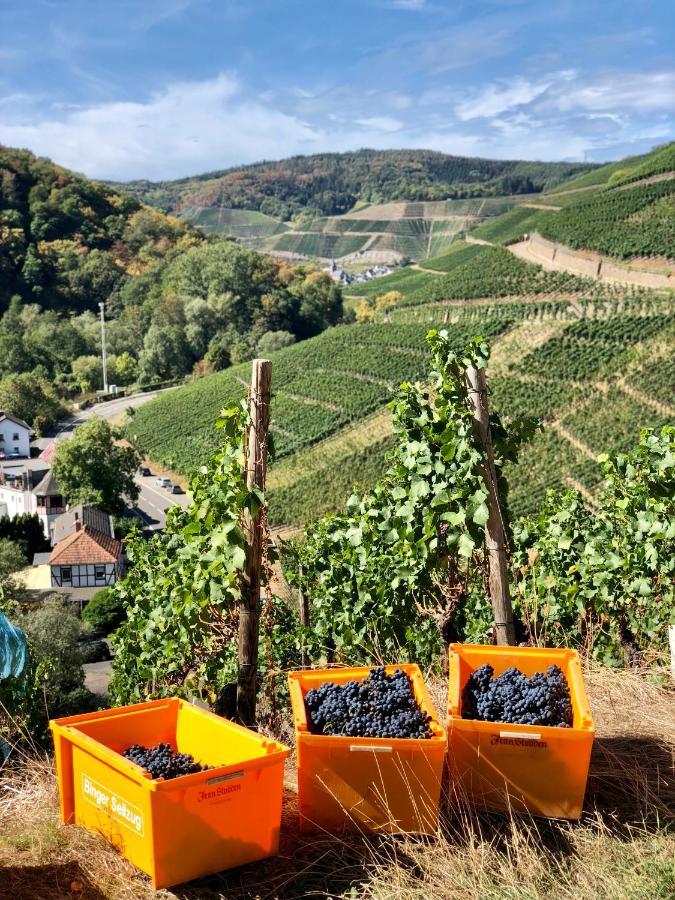 Ferienwohnung Ideenreich Bad Neuenahr-Ahrweiler Esterno foto